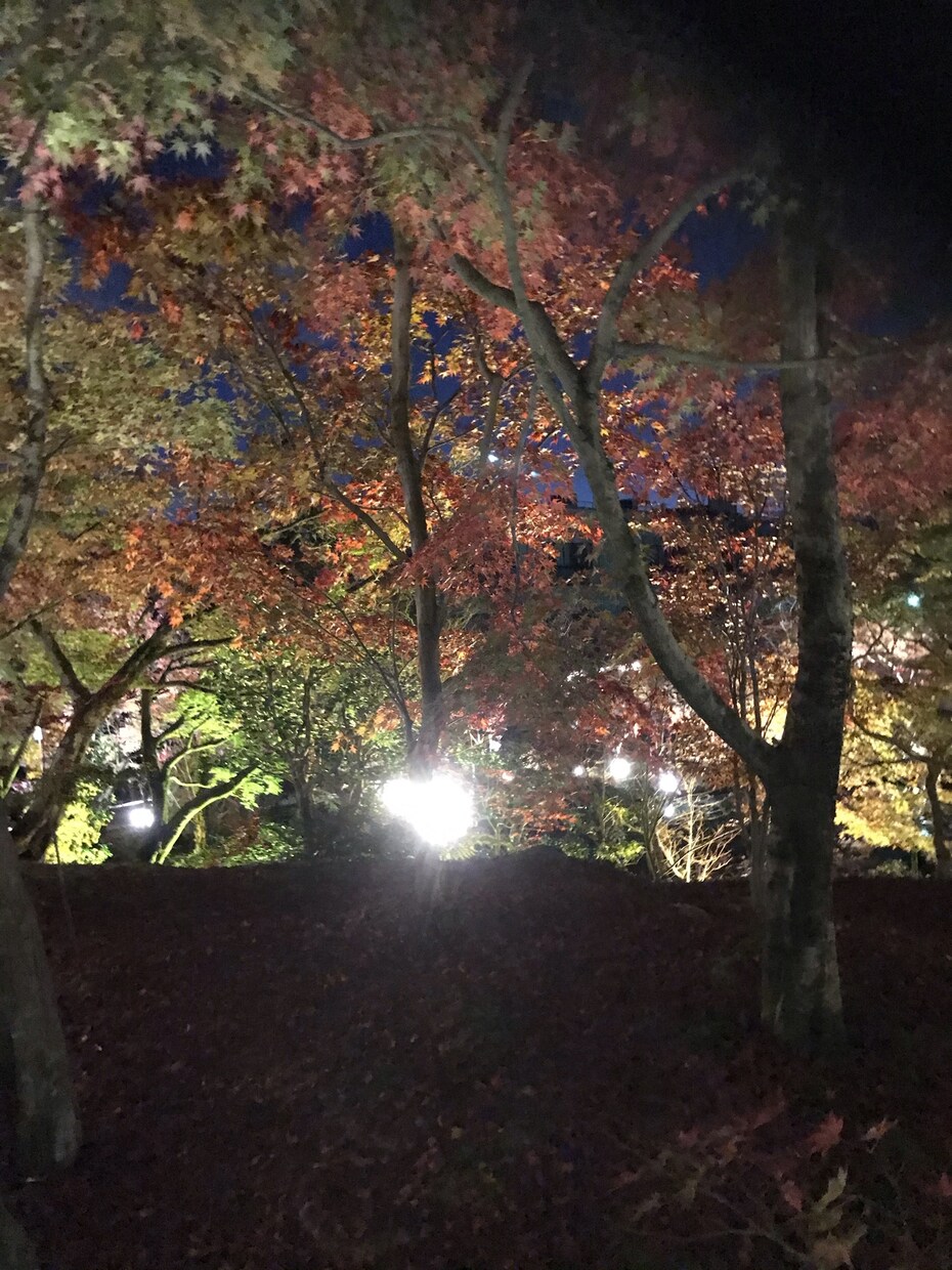 どんなご相談でも対応させていただきます 考え方一つで世界は変わる^ ^！！ イメージ4