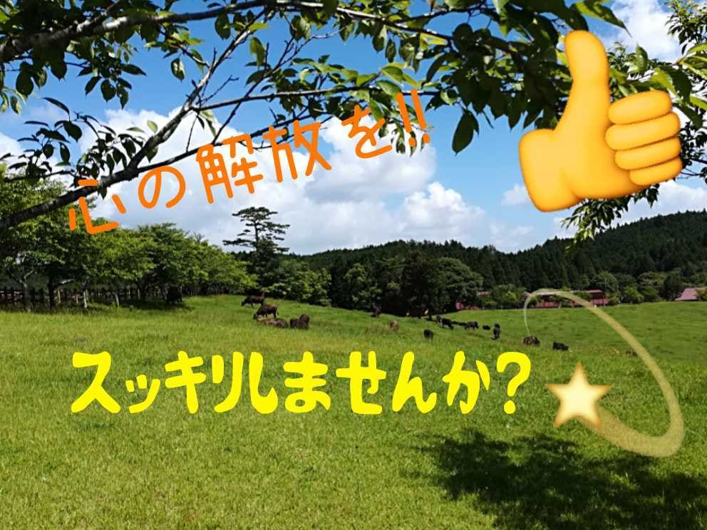 モヤッとしている事や悩んでいる事の相談を受けます 話してスッキリして明るい未来になってもらえたら嬉しいです！ イメージ1