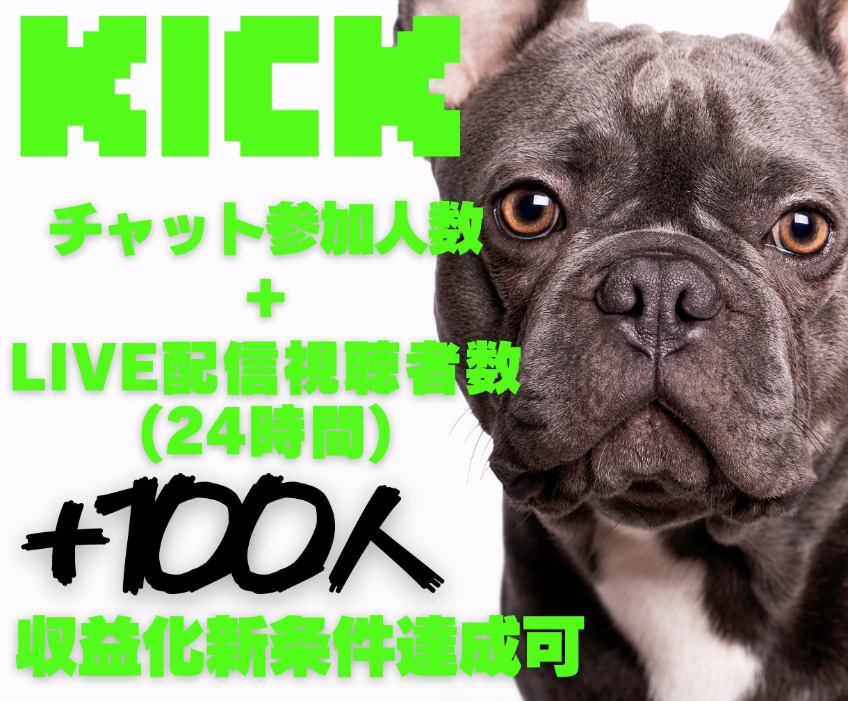 Kickチャット人数＆LIVE視聴者数を増やします 収益化新条件✨チャット人数＆LIVE視聴者数+100人～ イメージ1