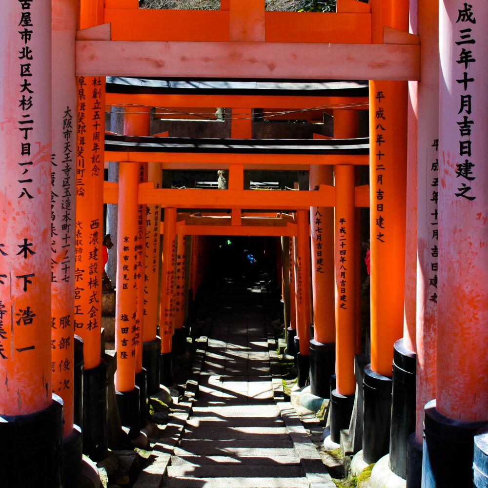 神道式の霊視にて復縁に力強くお導きいたします 復縁を阻むものを祓い、お二人のご縁を繋ぎ直す≪最強祈祷術≫ イメージ5