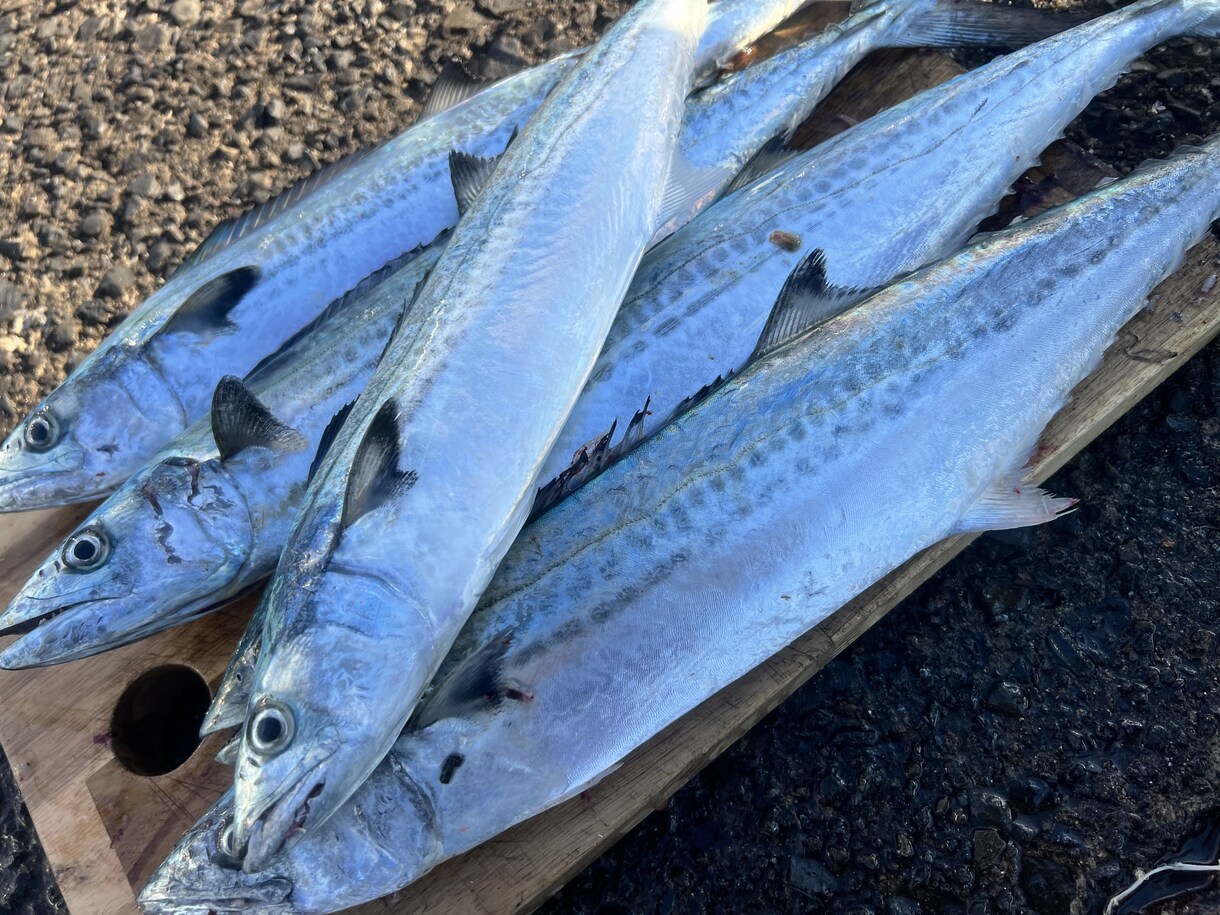 中級者向け、ルアーフィッシングへの第一歩支援します 釣り歴20年の私がルアー釣りのノウハウ伝授します！ イメージ1