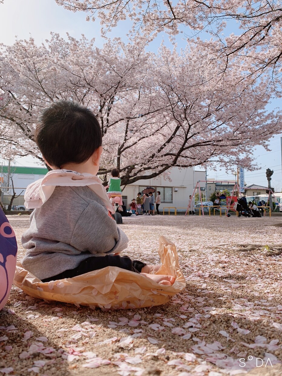 お子さんの深層個性診断します 個性を知る事で子育てへの不安解消や理解を深めてみませんか？ イメージ1