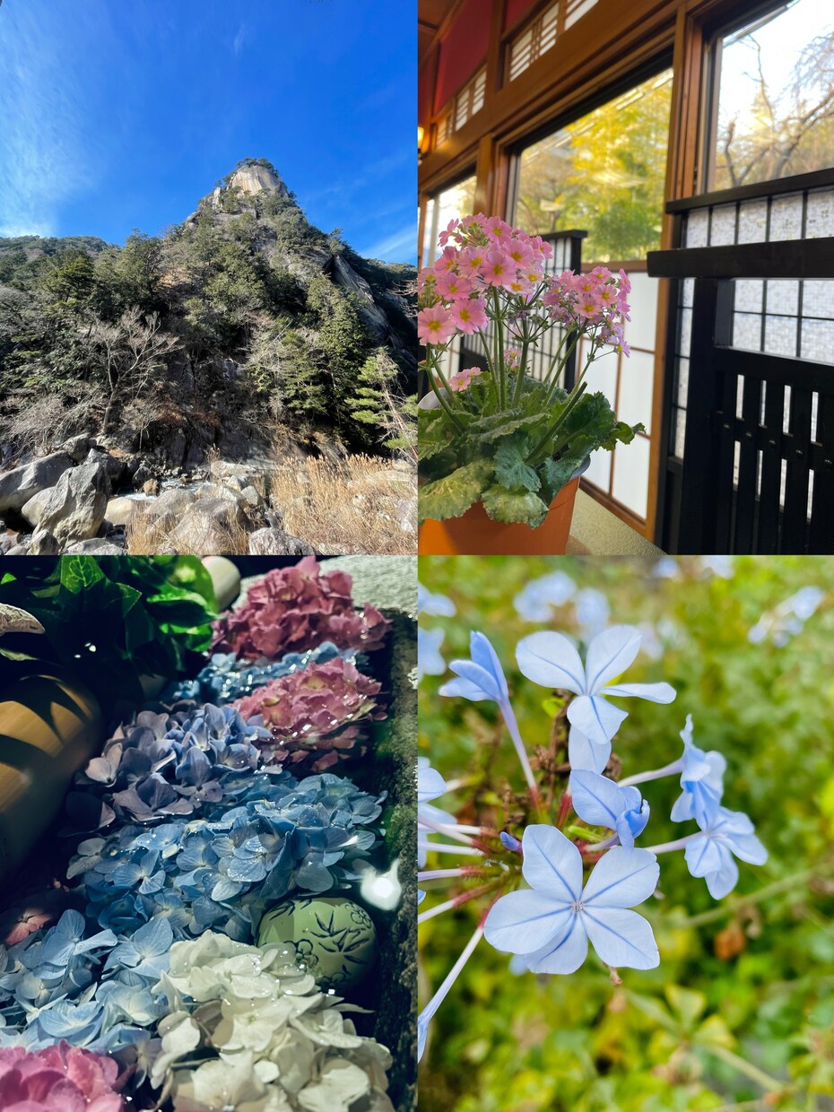 草花や風景などの写真素材提供します 背景やイラストの素材でお困りの方へ！ イメージ2