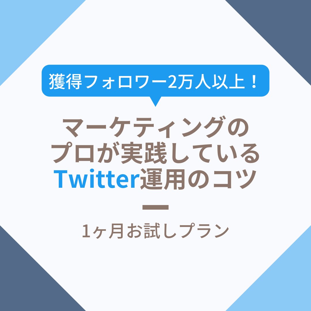 効果的なTwitter運用をマーケのプロが教えます せっかくTwitterをやるならちゃんとやりたい方へ イメージ1