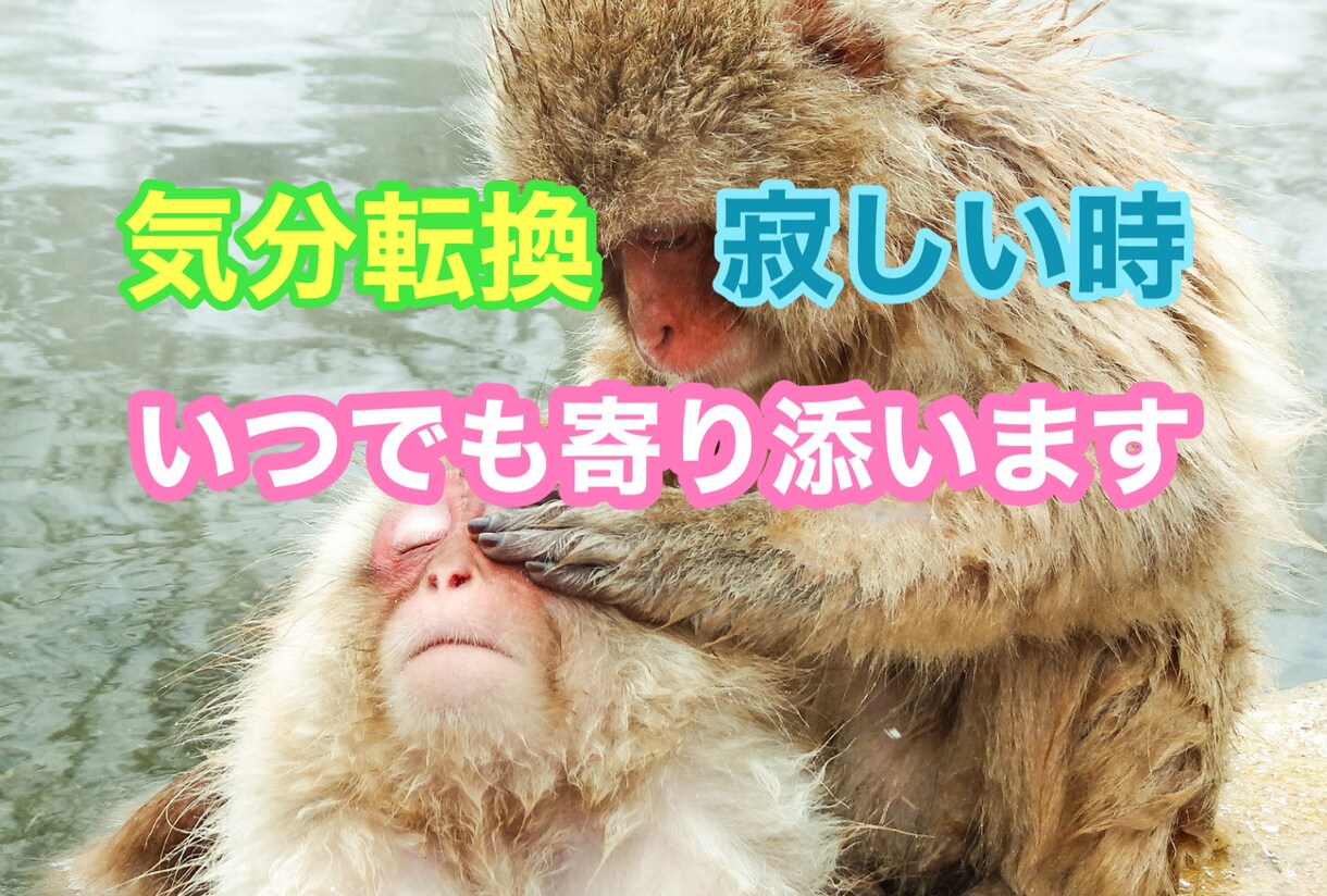 誰かと話たいなという時、いつでもお話相手になります 独りでつまらない、寂しい時の気分転換に イメージ1