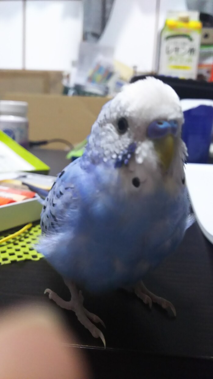 モヤモヤした気分をぶつけてみません？ イメージ1