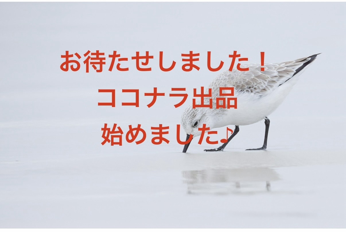 結婚相手・出会い・ご縁の行方タロットで読み解きます 結ばれた“宿縁”を読み解き、結婚につながるご縁を丁寧に鑑定！ イメージ3