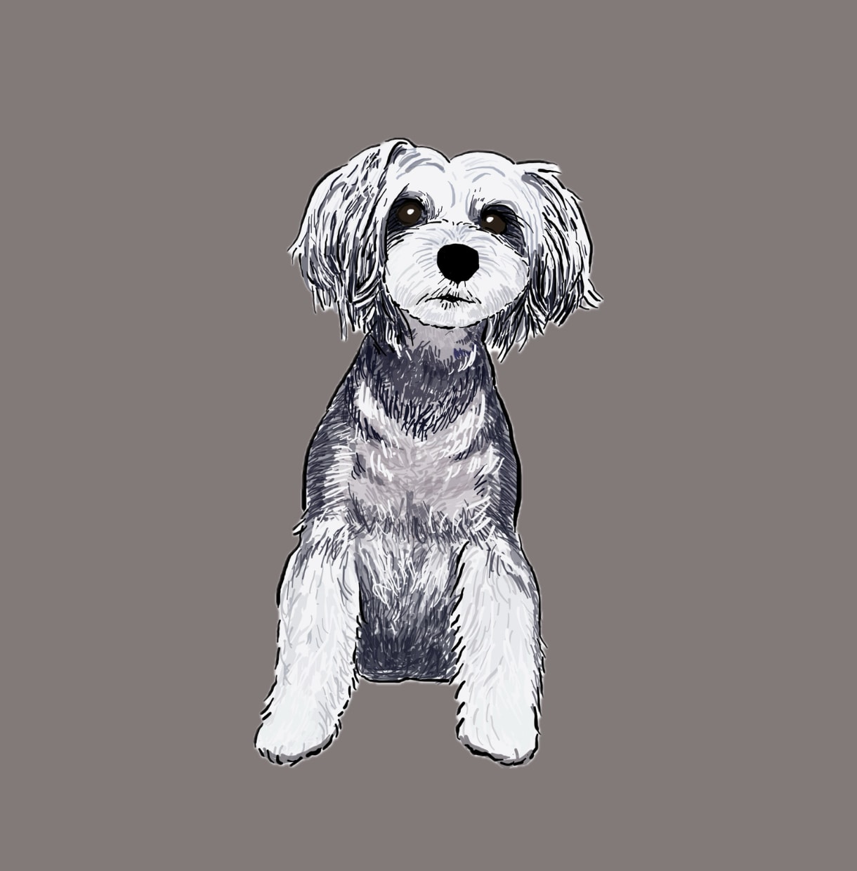 ミニチュアシュナウザーの似顔絵を描きます ミニシュナと暮らす犬絵師が、写真から似顔絵を描きます イメージ8