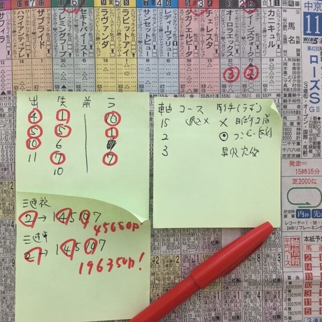 JRAが教えてくれない競馬の軸と穴法則伝授します 競馬チェックシートを使った簡単に軸穴馬が分かる方法 イメージ7