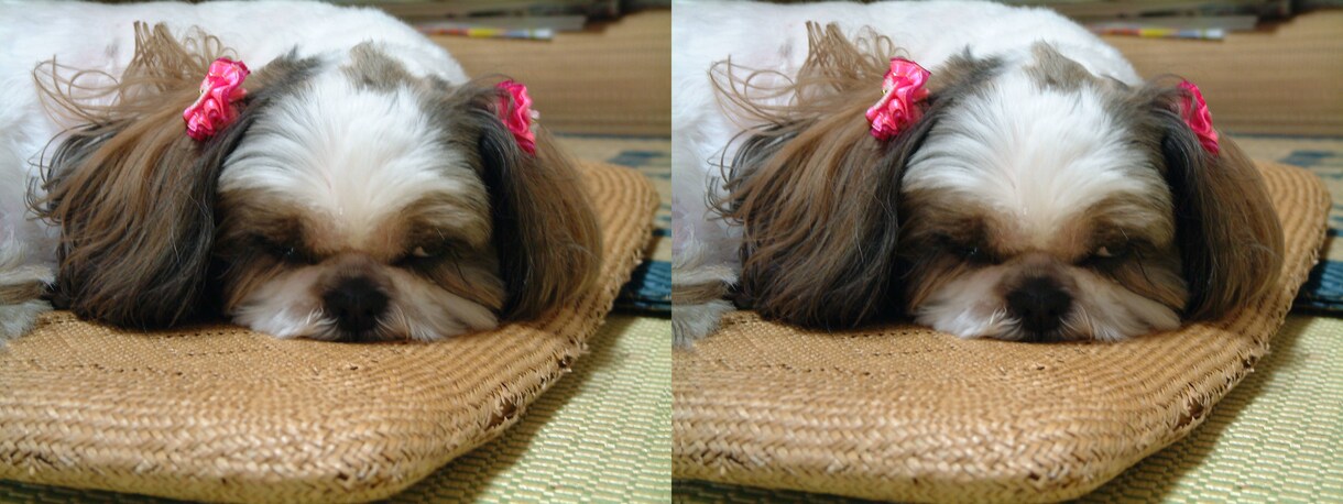 裸眼で見える☆画像をステレオ立体視に加工します 2枚の画像で奥行きを感じる立体表現に変換します イメージ3
