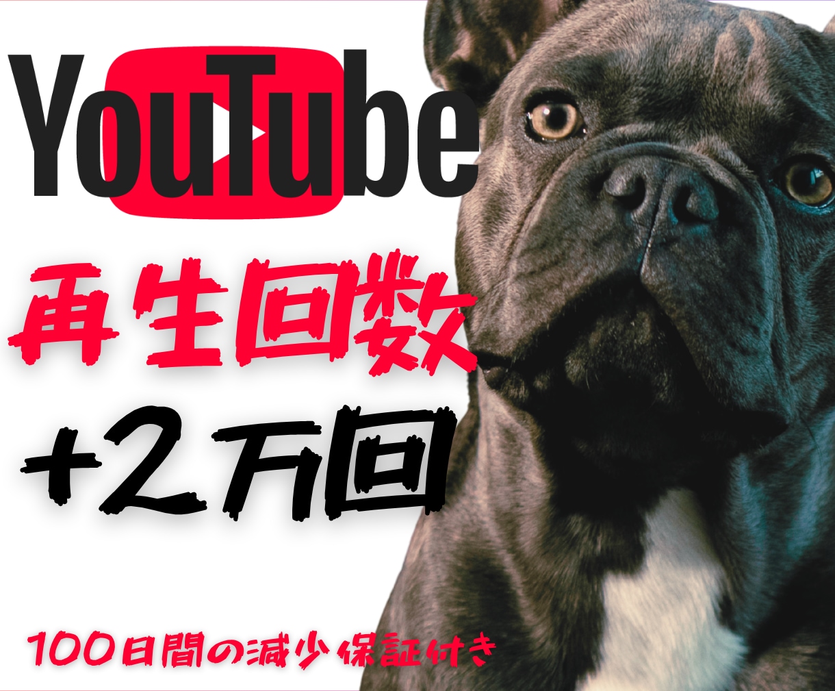 埋もれたあなたの動画を2万回再生引き上げます 再生されない悩みに終止符を！✨最初の追い風を2万回再生で！ イメージ1