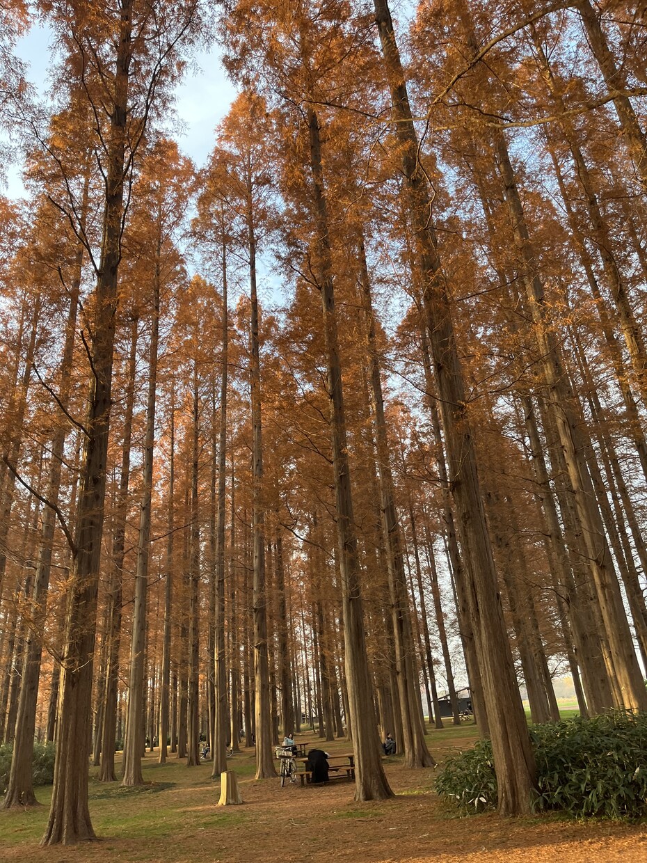 デートプランを考えて記事を執筆します 年間400食外食するマンが現地取材に基づくデートプランを執筆 イメージ6