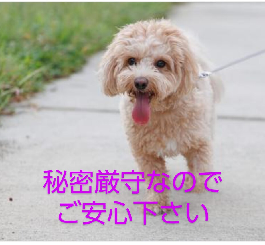 心軽やかに！スッキリして下さい。愚痴お聞きします 気持ちリフレッシュ！ストレス解消タイム。気軽にお話し下さい！ イメージ10