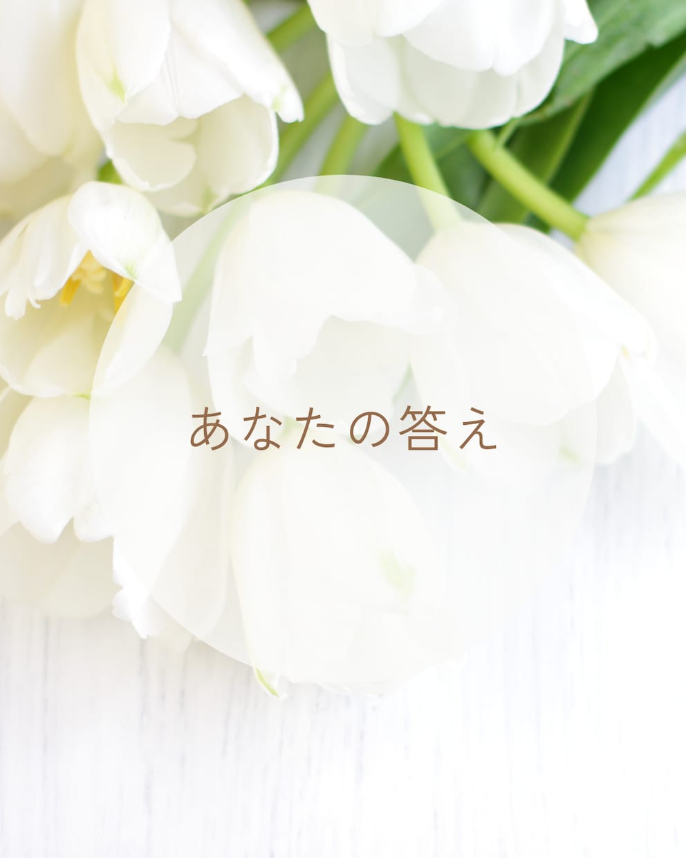 丁寧な対話で  あなたの心の声を、 大切に聴きます 安心できる時間、 本当のあなたの想いに触れてみませんか。 イメージ7