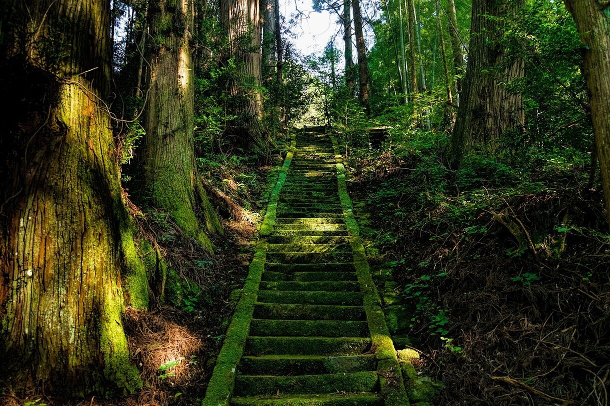 霊視！仕事のお悩み【適職才能】霊視ズバリ鑑定します 霊視/仕事霊視鑑定/人間関係/上司/適職/この先の仕事/職場 イメージ7