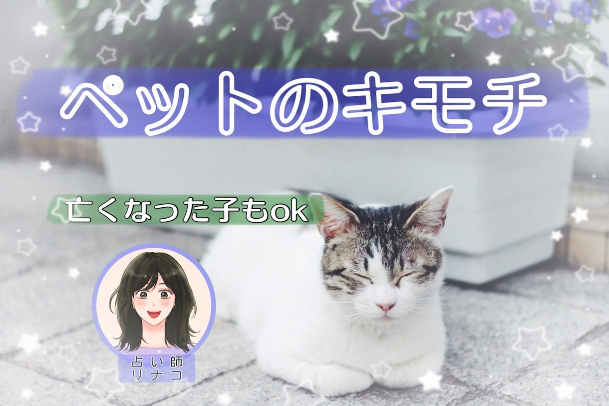 ペットちゃんの気持ち❇伝えます 初めての方歓迎❤すべての動物の子OK❤ イメージ1