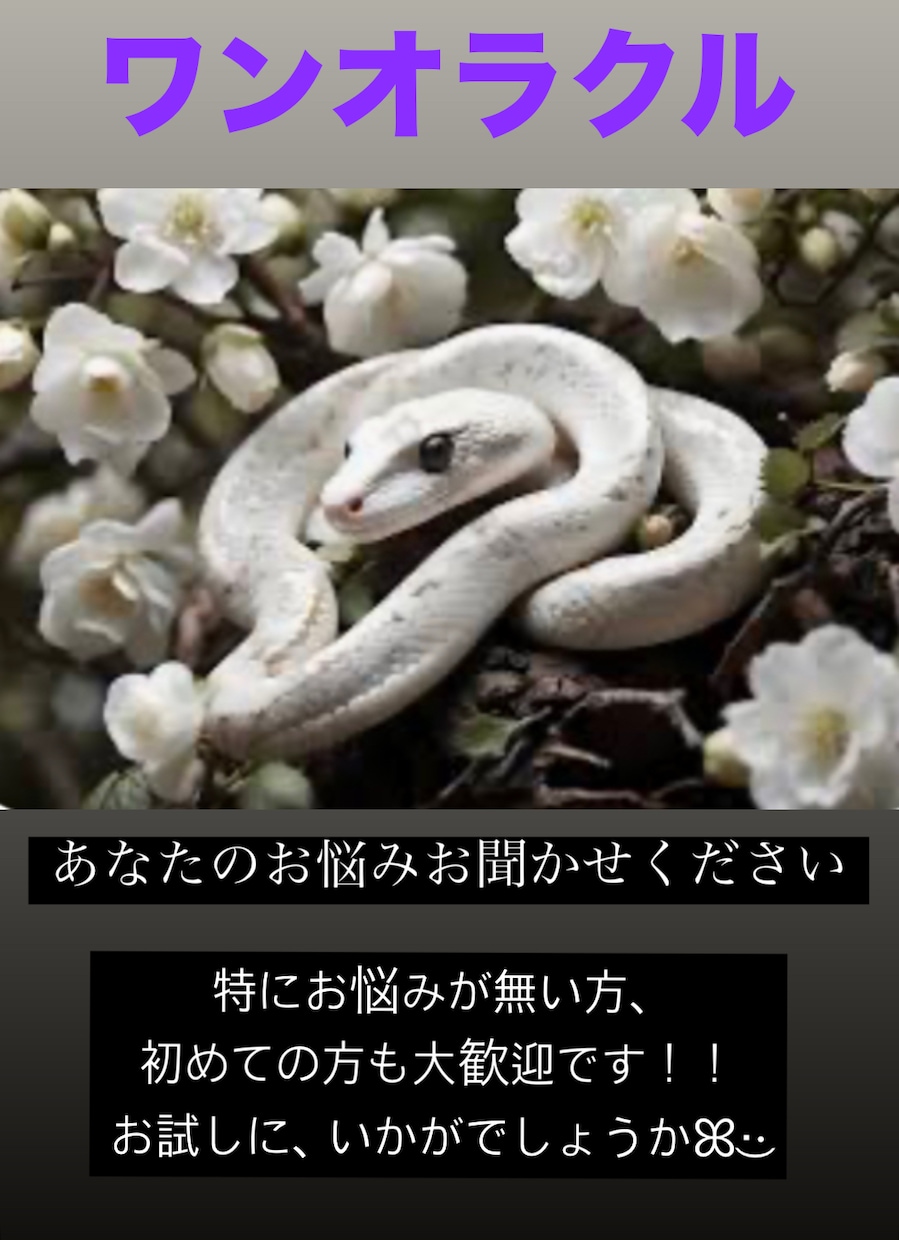 何でもお悩み相談下さい。お悩み1件につき1枚引ます 24時間以内にお答えします。お悩み解決、何でもご相談下さい。 イメージ1