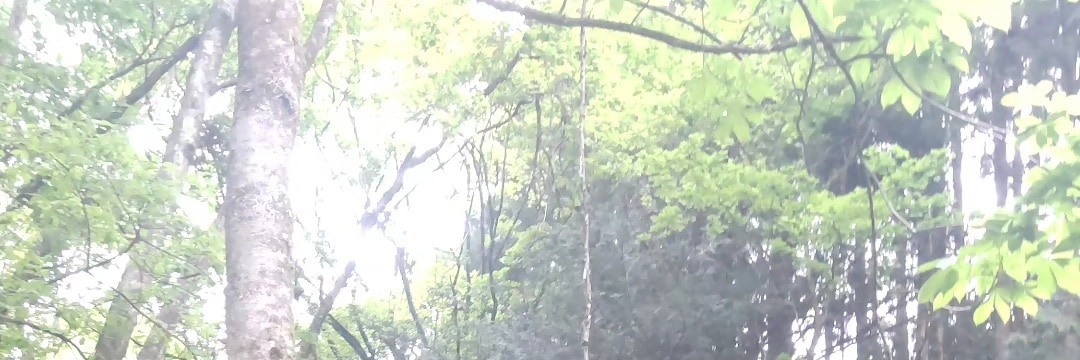 占いのオマケつき！ガールズトークします 元々の相談員スキルと占いで人生相談受け付けます。 イメージ7