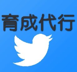 日本人男性フォロワー向けアカウントの運用代行します 代行し続けて半年で１００件突破！信頼と実績が当社の自慢です！ イメージ1