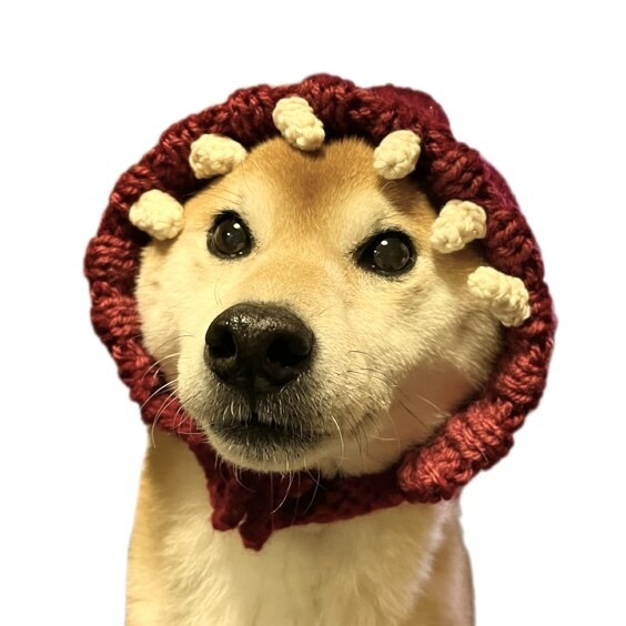 ペット(わんこ・にゃんこ)用のニット帽作ります かわいいペットにプチコスプレさせれちゃうニット帽。 イメージ7