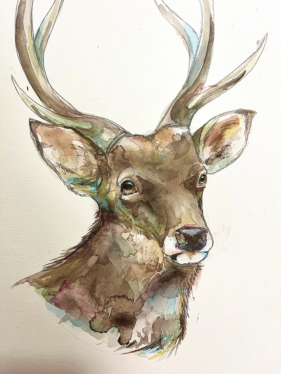 原画郵送✳︎動物を透明水彩や色鉛筆で描きます お好きな動物や愛するペットなど何でも描きます！ イメージ4