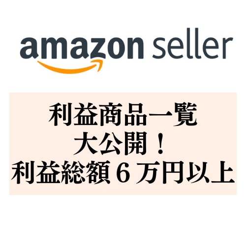 アマゾンセラーで実際に利益が出た商品を公開します 電脳せどり&店舗せどりの利益商品大公開！！Part1 イメージ1