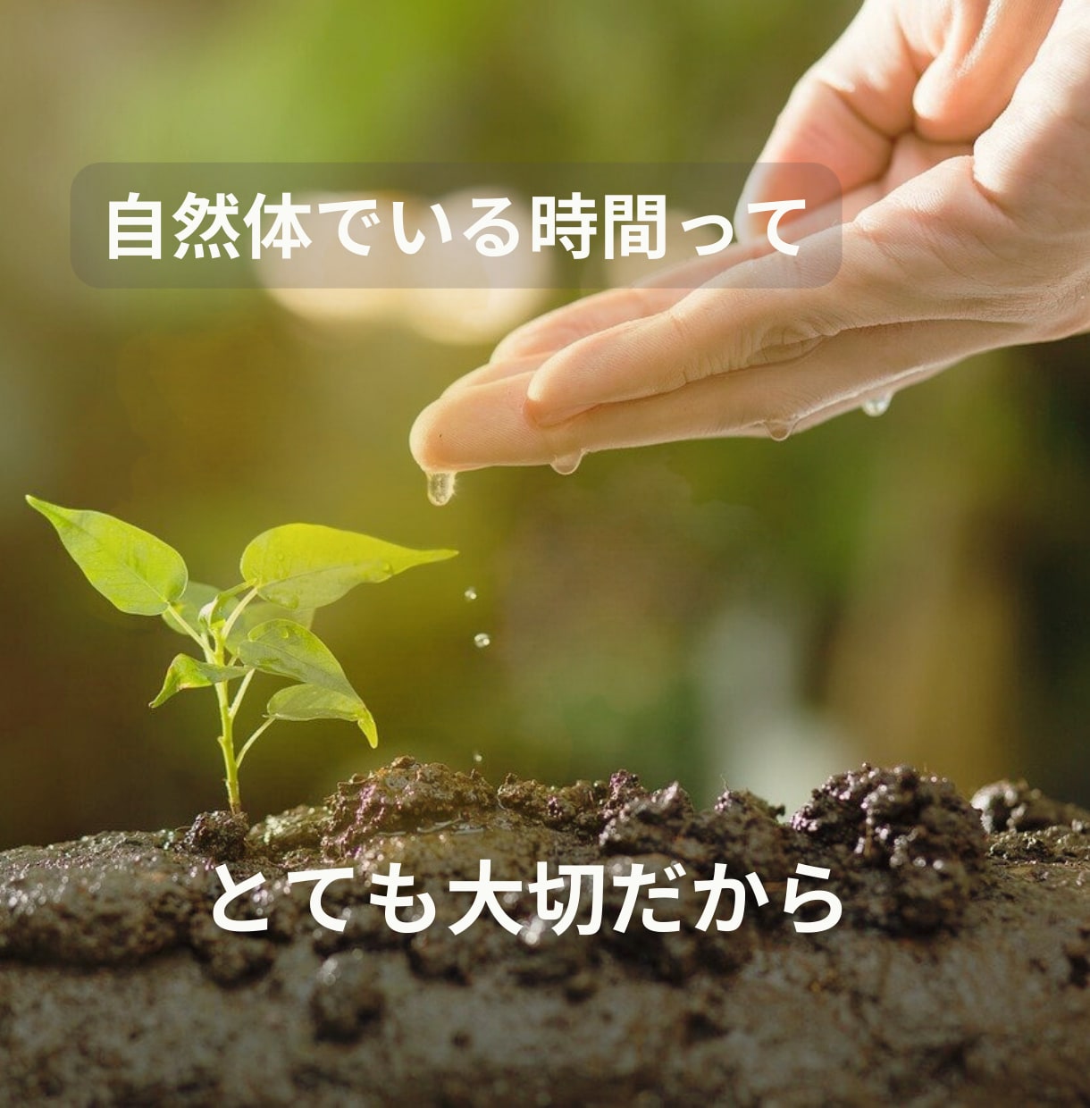 心がほっとできる時間にします 1分でも5分でも♪癒やしのひととき꙳✧˖° イメージ6