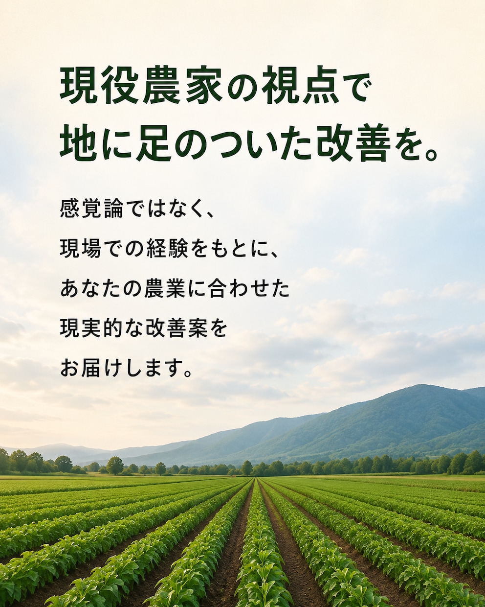 新規就農者の経営と作業を整理します 翌月の改善点を現役農家が整理します イメージ9