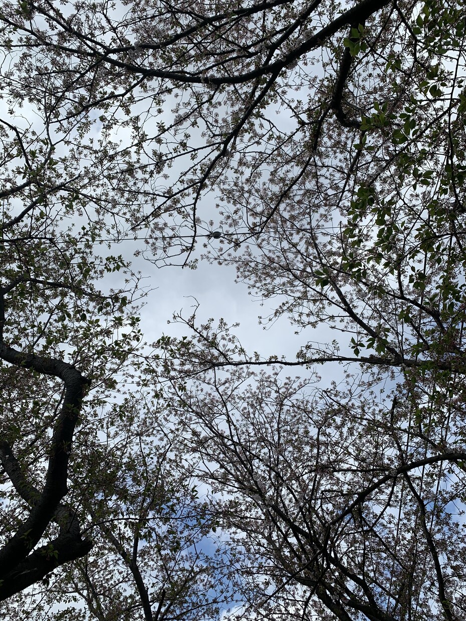 あなたへ今必要なメッセージお伝えします ☆あなたのホッとできる時間を創ります☆ イメージ3