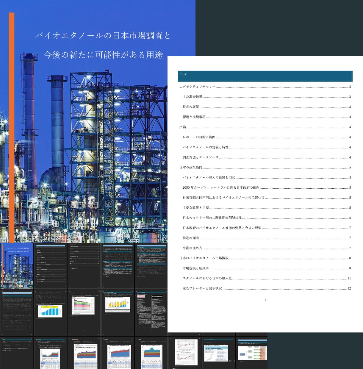 海外マーケットリサーチ＆レポート作成サポートします 海外市場のチャンスを探り、14年の経験で成功をサポートします イメージ4