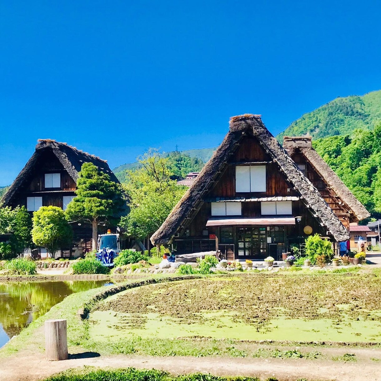 旅行・デートプランを立てるお手伝いを一緒にします 一生に一度のその日を共に味わいましょう。最高の1日を！！！ イメージ6