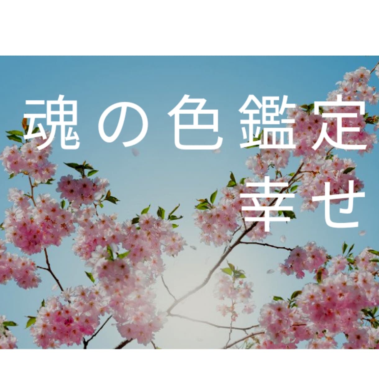 魂の色鑑定「発展、拡大する方向について」作成します お誕生日から色で伝えるメッセージ【幸運に向かうもの】