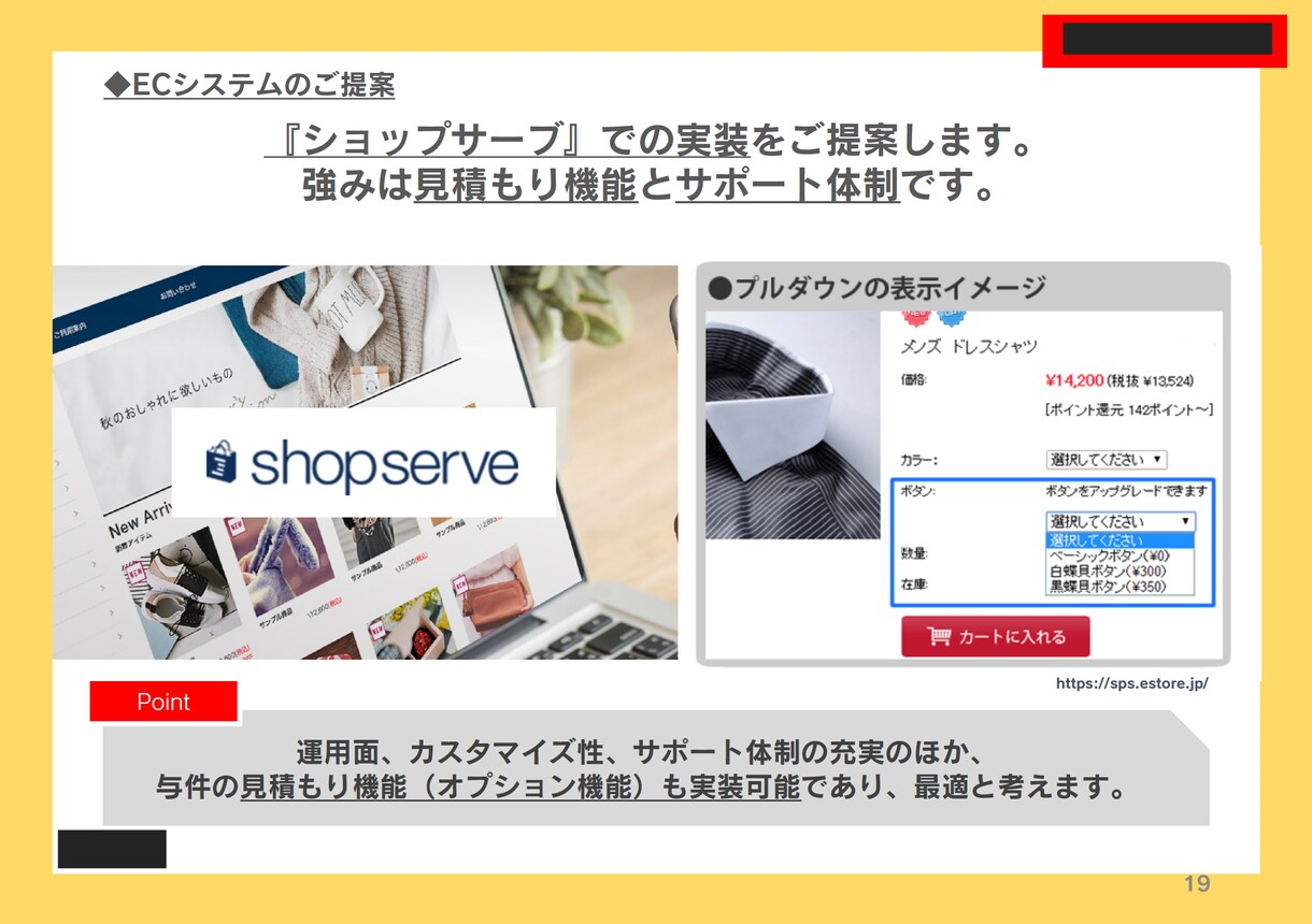 プロのコンサルタントが伝わるパワポ資料を作ります 《1p2,000円〜》提案のプロがあなたのビジネスをサポート イメージ10