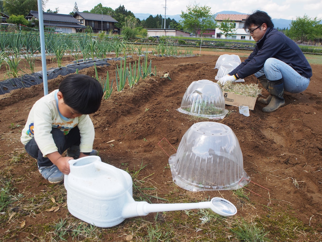 某テレビ番組の監修者が家庭菜園の悩みお答えします 家庭菜園で何から始めようか迷っている、失敗した事がある貴方へ イメージ5
