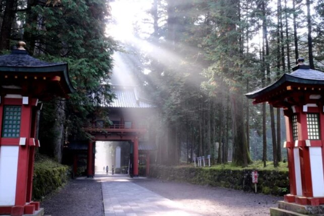 相性の良い【神仏様と神社仏閣】を鑑定します 繋がりの深い神仏様は？❁あなただけの神様とご縁を結びます イメージ8