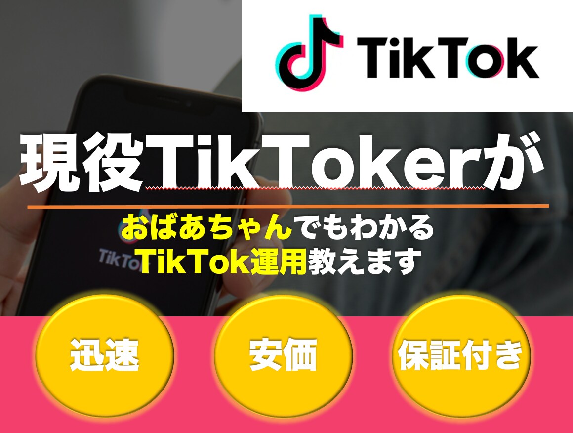おばあちゃんでもわかるTikTok運用術を教えます ⭐️TikTok初心者企業様必見⭐️ イメージ1