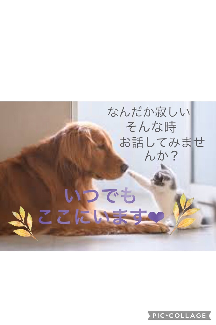 育児中に孤独を感じている方、お話聞きます ふと不安や孤独を感じて辛い…何でもいいです。お話しませんか？ イメージ1