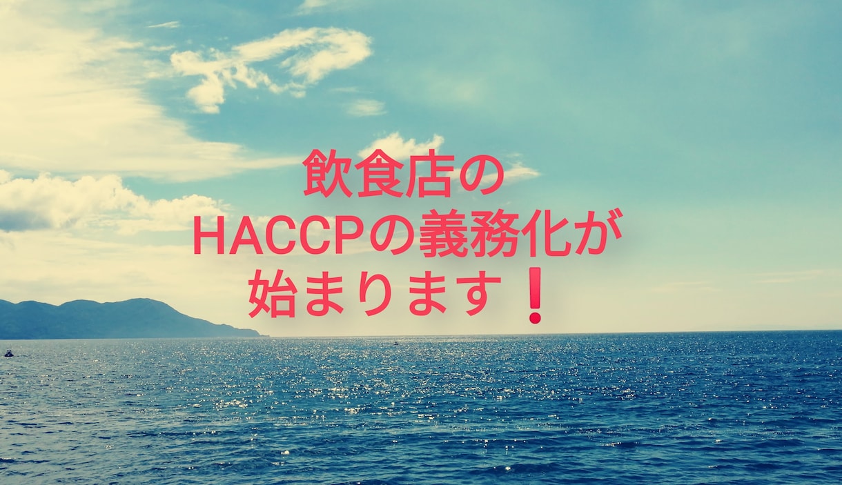 HACCPの考え方　衛生管理の書類作成致します 6/1 改正食品衛生が適用となり、HACCPの義務化が開始 イメージ3