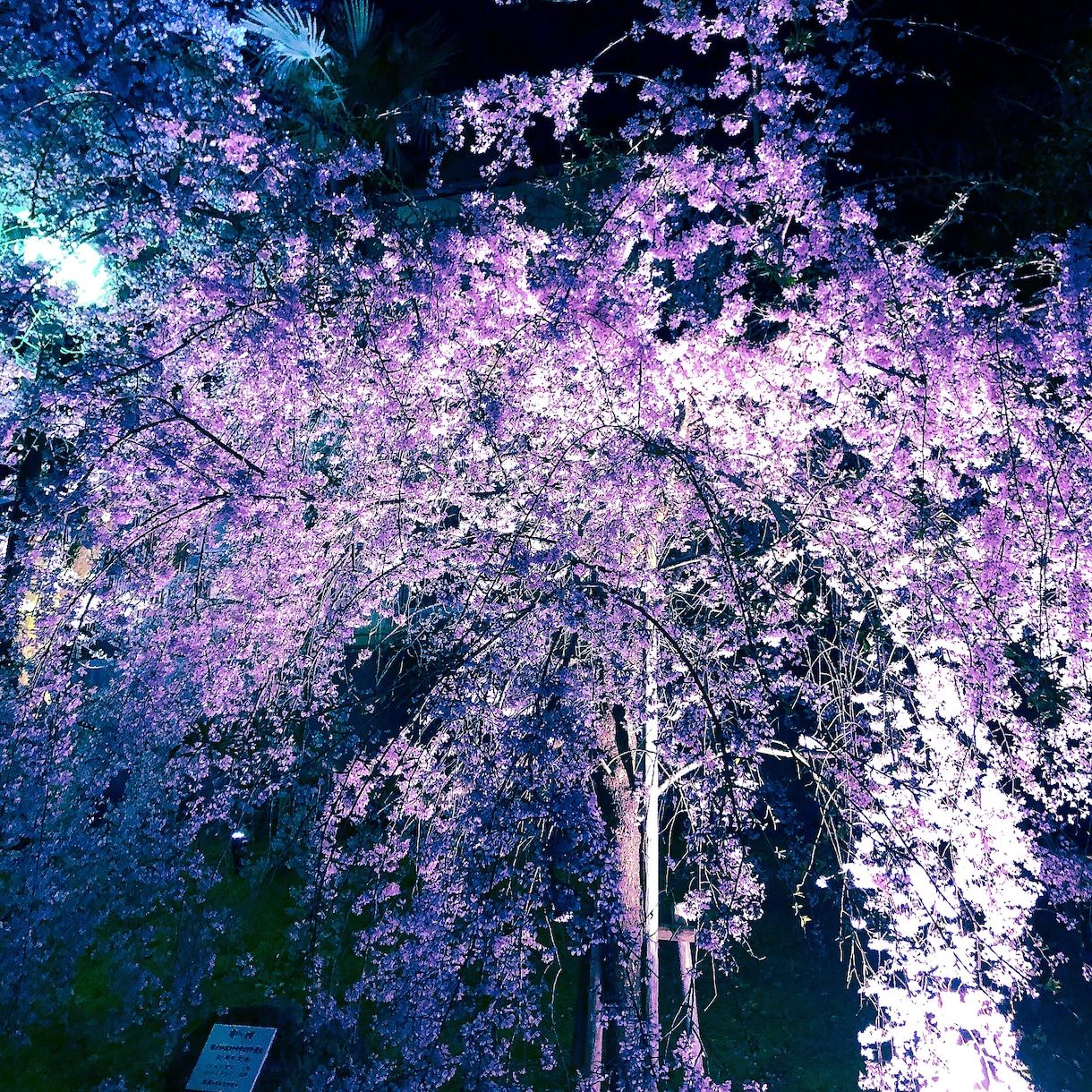 風景写真を中心に、写真を加工しポエムを作ります 風景写真を絵葉書風に加工したり、ポエムをつけたりします イメージ6