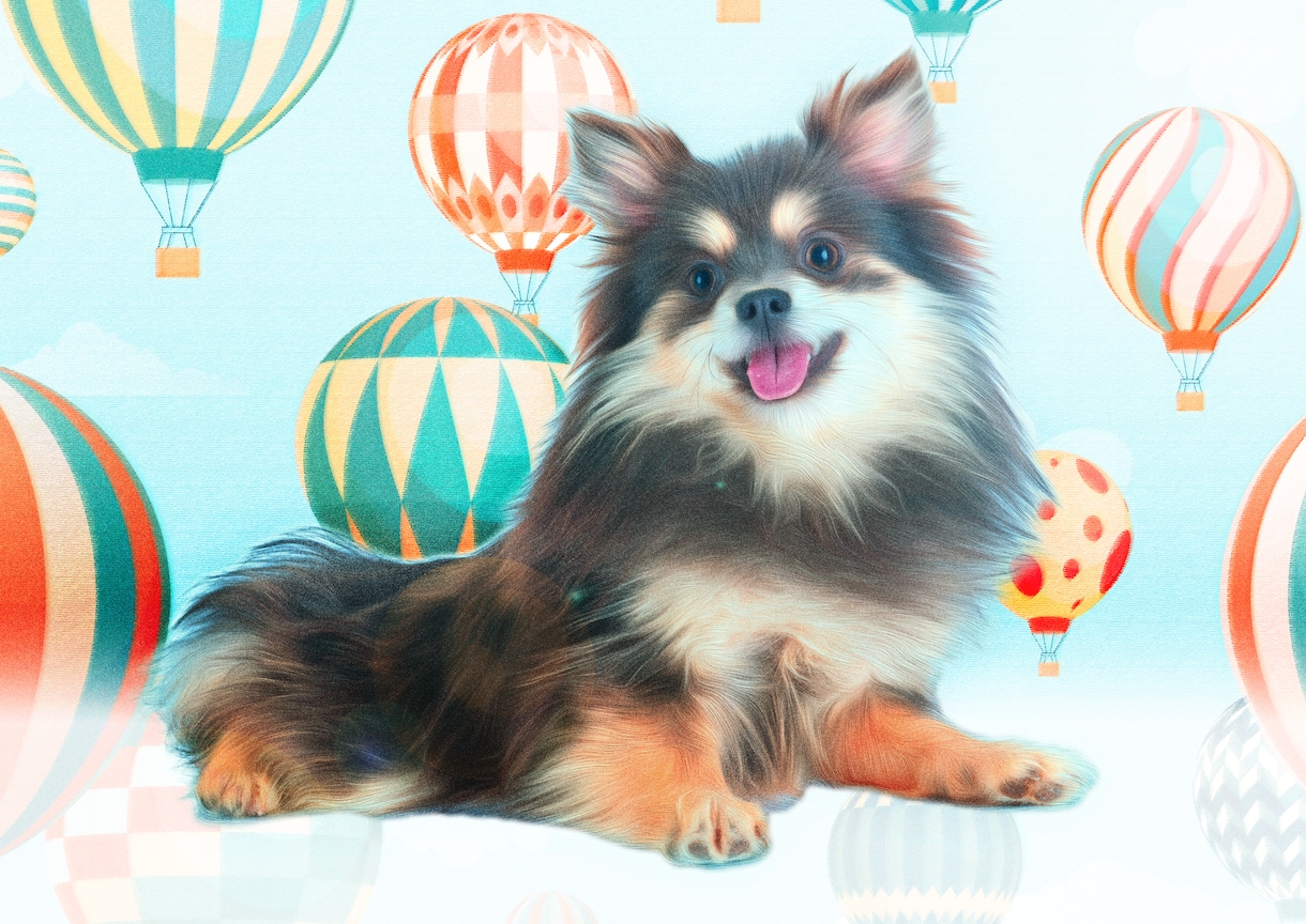 猫、犬などペット写真合成加工します 猫、犬、インコ、動物ペットの写真をイラスト風に加工します♪ イメージ2
