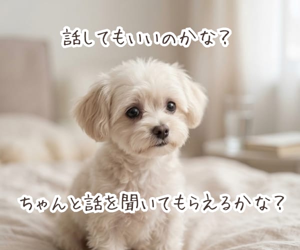 積み重ねてきた想い、丁寧に言語化します 【心理相談室】共感だけでは終わらない《核心》に触れる対話 イメージ6