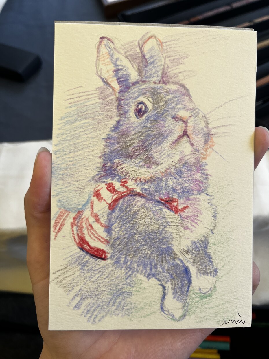 色鉛筆でペットの似顔絵ポストカード制作します 色鉛筆で雰囲気のある色味の似顔絵を描きます！ イメージ3