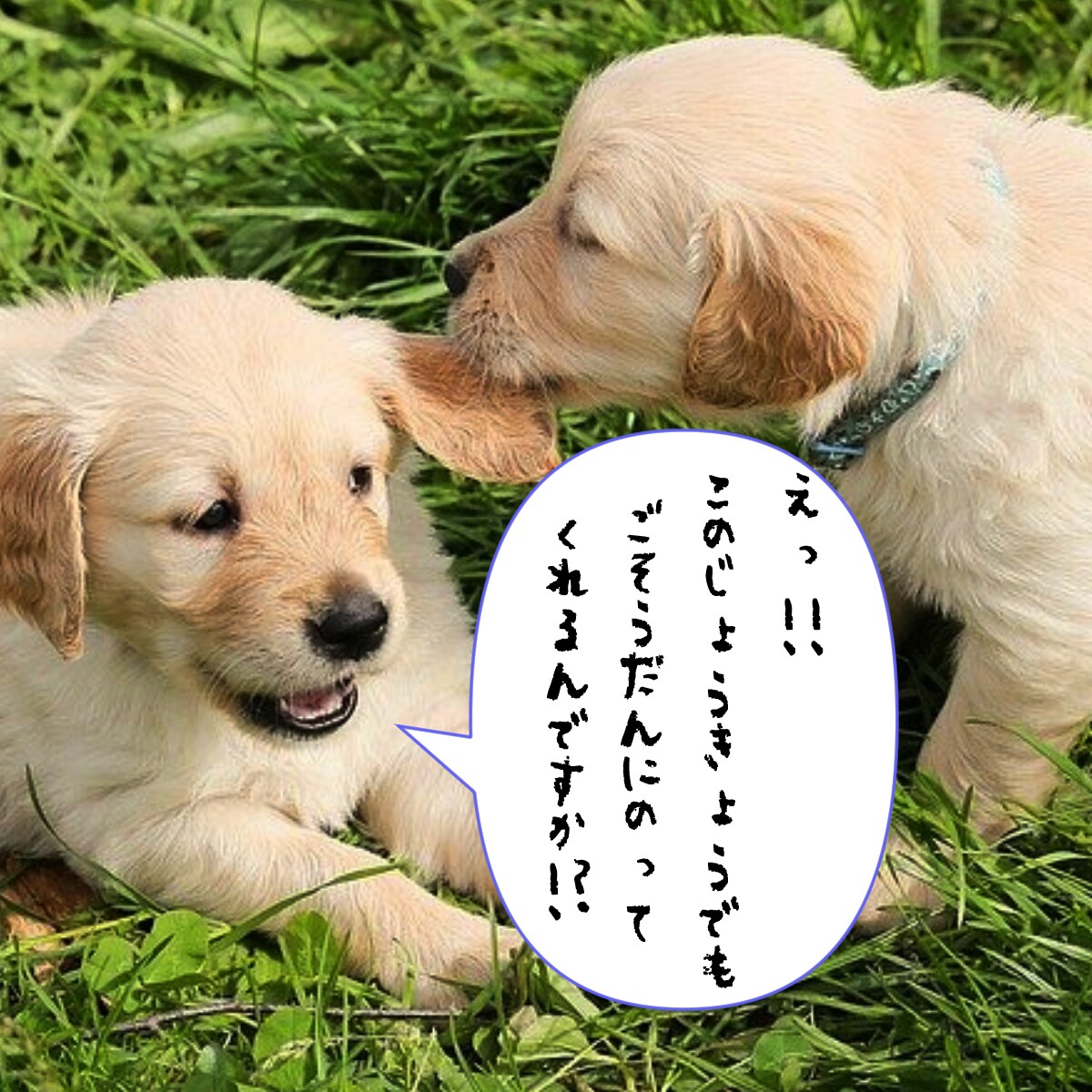 電話5分OK！霊感タロット✅お悩み即座に解消します 楽しくお話しながら占い鑑定！温かく優しい雰囲気で迎えます☆ イメージ6