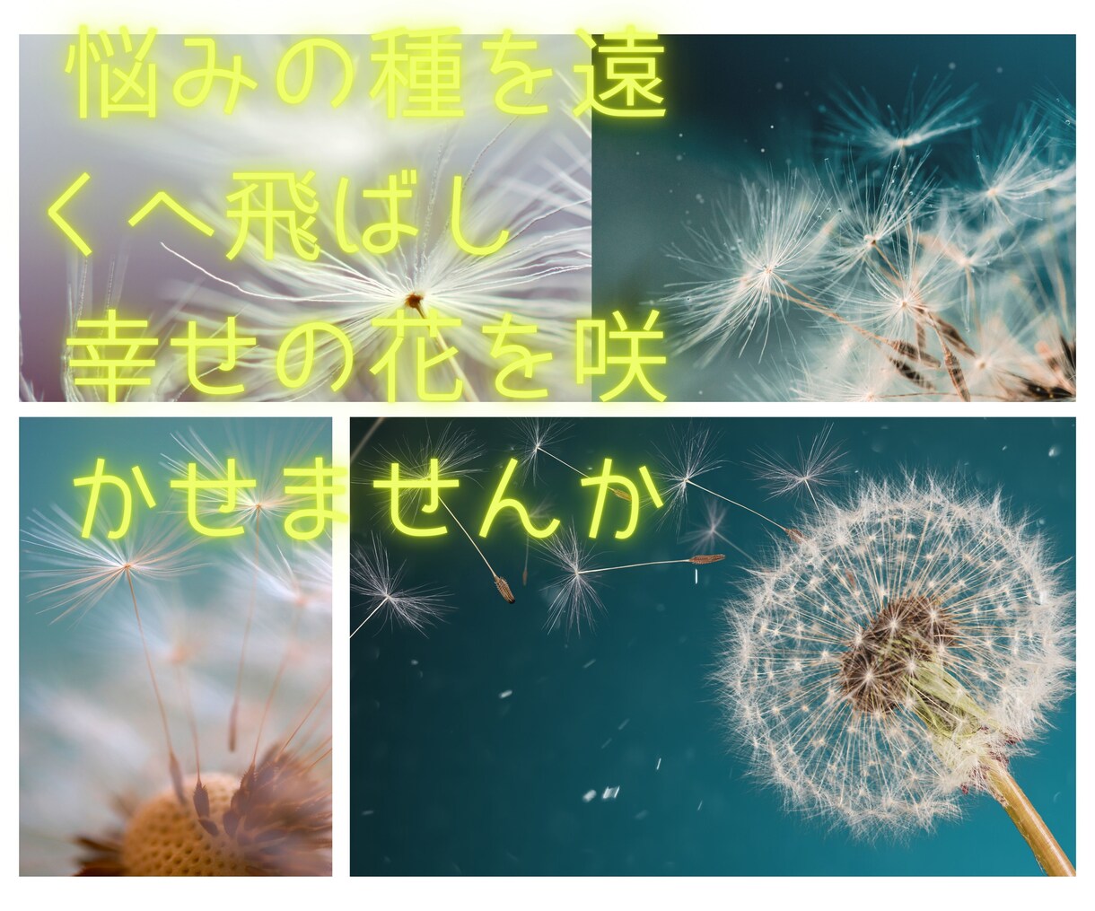 あなたの悩みの本当の種を一緒に探します 悩みの解決方法は、意外な所にあるものです イメージ1
