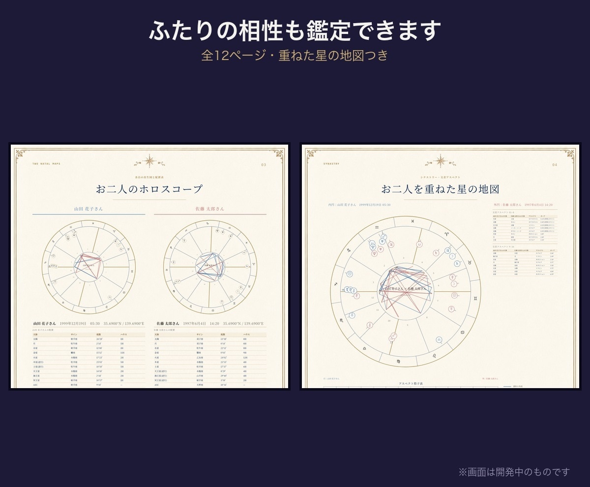 西洋占星術のホロスコープ／鑑定書ツールを提供します ハウス・アスペクト・年運・相性も自動。文章は書き換え可 イメージ4