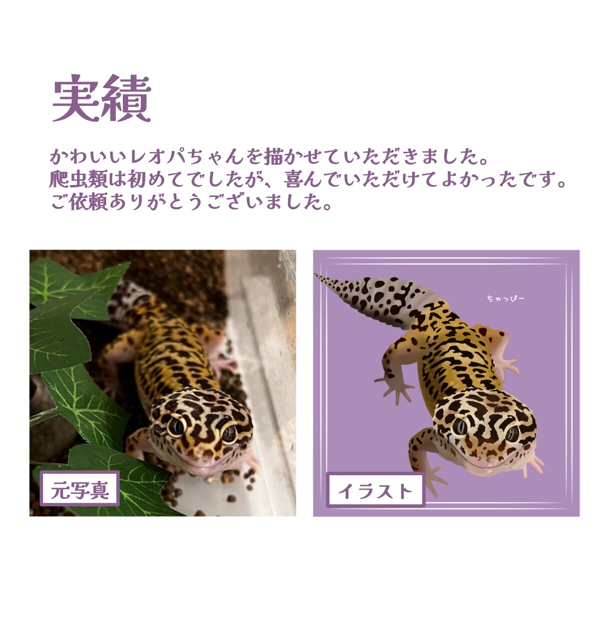 動物のイラストお描きします 小動物から爬虫類まで！どんな動物もリアルでやわらかい雰囲気に イメージ3