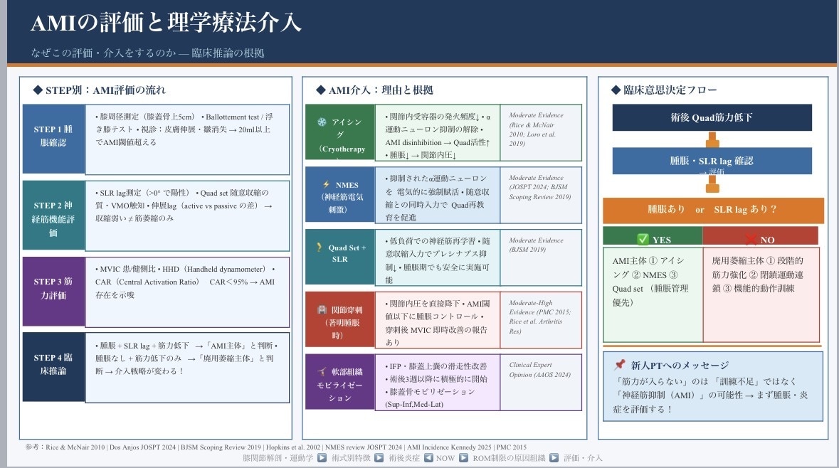 整形外科PT歴9年勉強会院内研修スライド作成します 整形外科理学療法士｜膝関節専門・勉強会講師 イメージ7