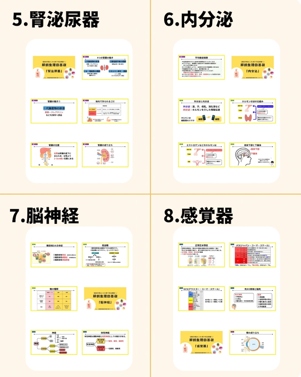 看護師国家試験 | 国試の要点のみを総復習できます 解剖生理の基礎から統計学まで看護師国家試験の範囲を完全網羅！ イメージ7