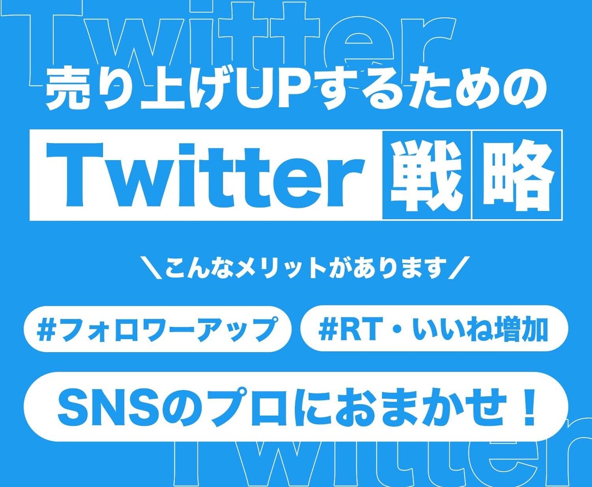 あなたのTwitterアカウントをコンサルします アカウントに必要な運営法などを1週間解説！質疑あり イメージ2
