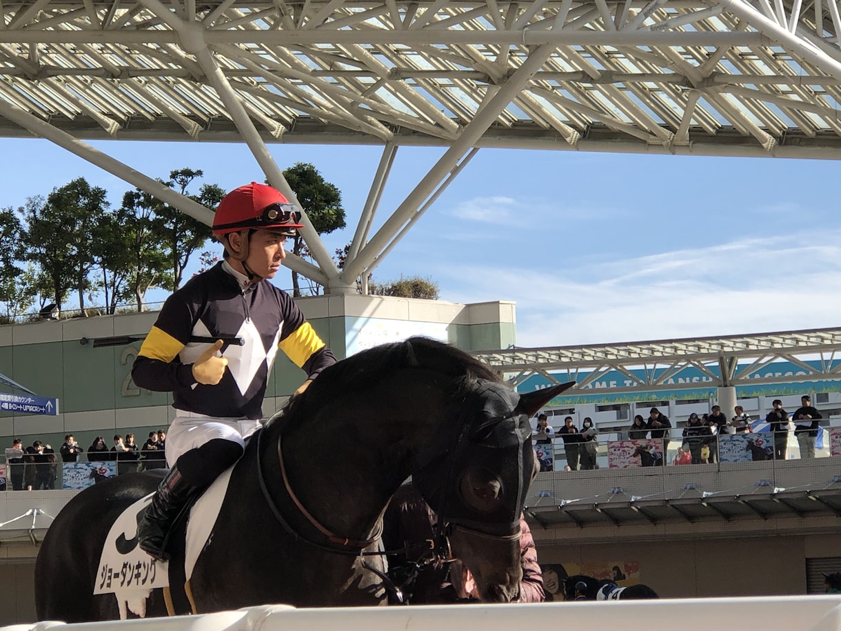 中央競馬の予想をお届けします 競馬！血統、展開予想を駆使して信頼度の高い軸馬をお届け！ イメージ1